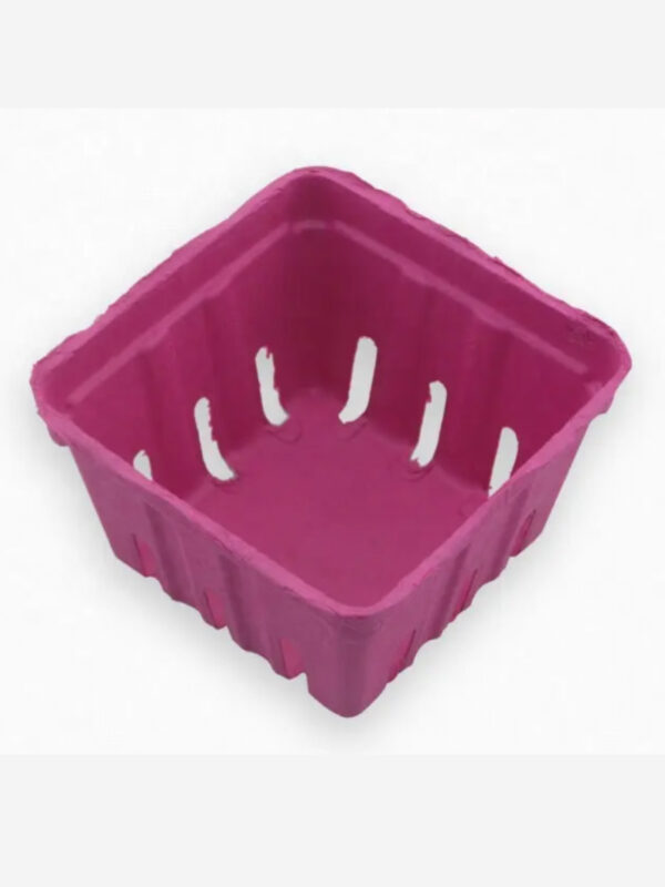 Compact Basket Model Pot (8.3cm) – Stylish & Functional Planter for Indoor and Office Decor