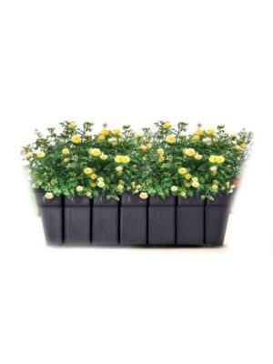 Teak Bar Pot – Elegant and Spacious Planter for Indoor and Outdoor Use