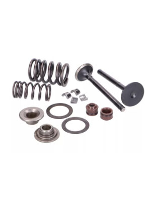 Cylinder Head Valve Rebuild Kit with Springs Set for 5kW Generators – Durable Replacement | සිලින්ඩර් හෙඩ් වාල්ව් කිට්